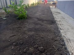 Unique Garden - Amenajari gradini