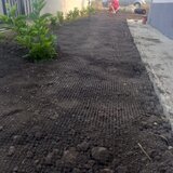 Unique Garden - Amenajari gradini